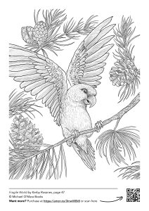 a parrot image from Worlds Within Worlds by Kerby Rosanes
