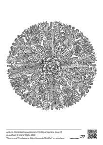 An intricate, cactus mandala colouring page from the Natures Mandalas colouring book